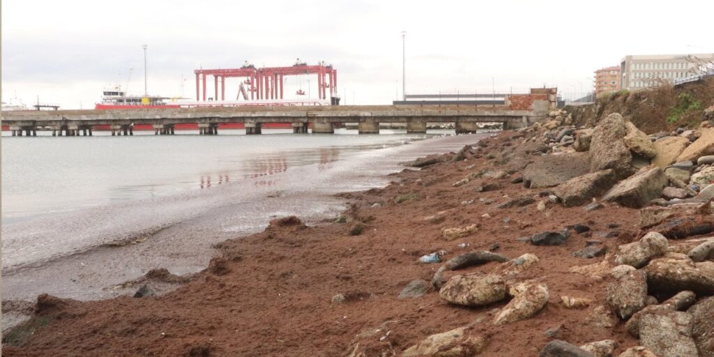 Tekirdağ’da sahil kırmızı oldu: Nedeni açıklandı